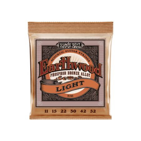 Earthwood phosphore bronze Light - Ernie Ball