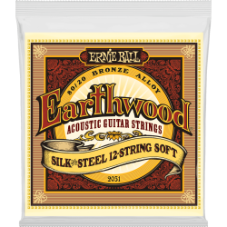 Earthwood 80/20 Bronze Silk&steel 12 cordes 9-46 - ERNIE BALL