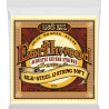 Earthwood 80/20 Bronze Silk&steel 12 cordes 9-46 - ERNIE BALL