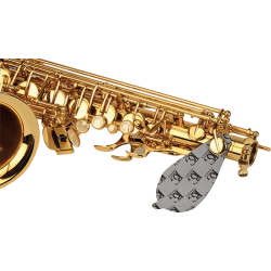 Pack d'entretien pour Saxophone Alto - BG